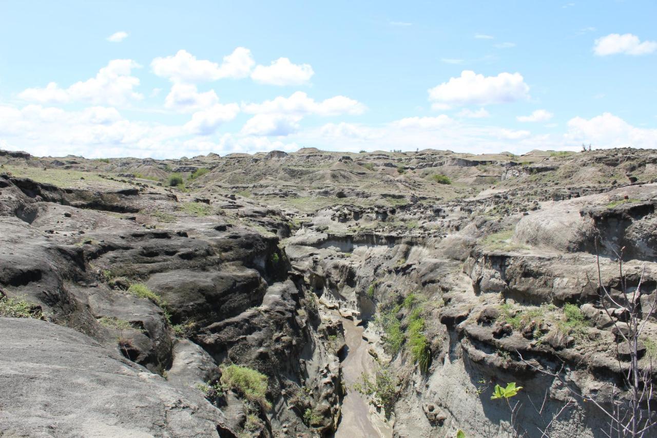 Pachingo Tatacoa Desert La Victoria  Eksteriør billede
